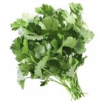 Кинза 1кг Ташкентская