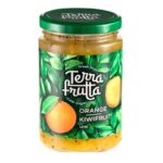 Джем Terra Frutta Апельсин Киви 420 г
