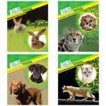 Тетрадь Animal Planet в клетку А5 96 л